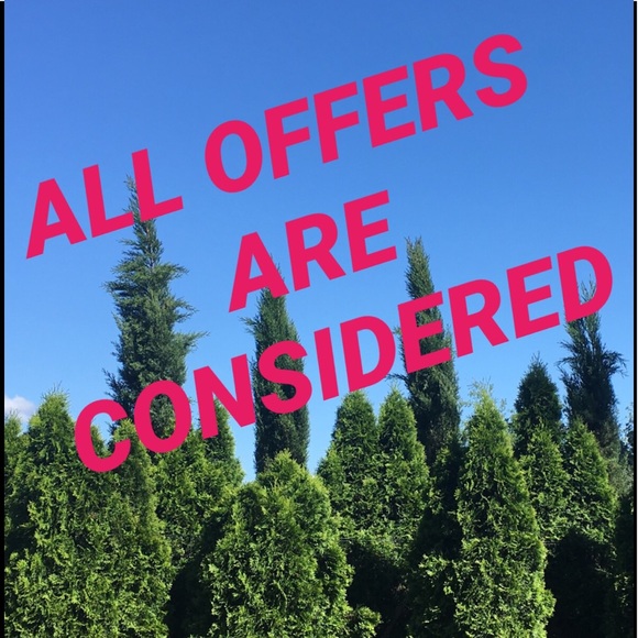 🎉🎉🎉🎉🎉🎉🎉🎉 - Picture 3 of 4